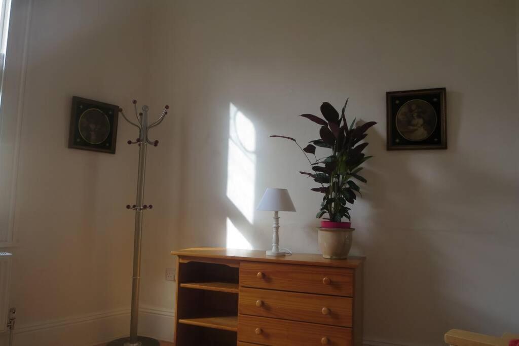 Villa Bankhouse à Ashburton Extérieur photo